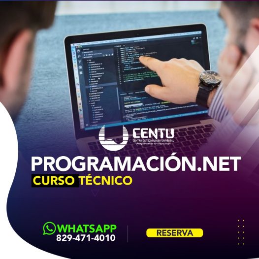 Técnico en Programación .NET