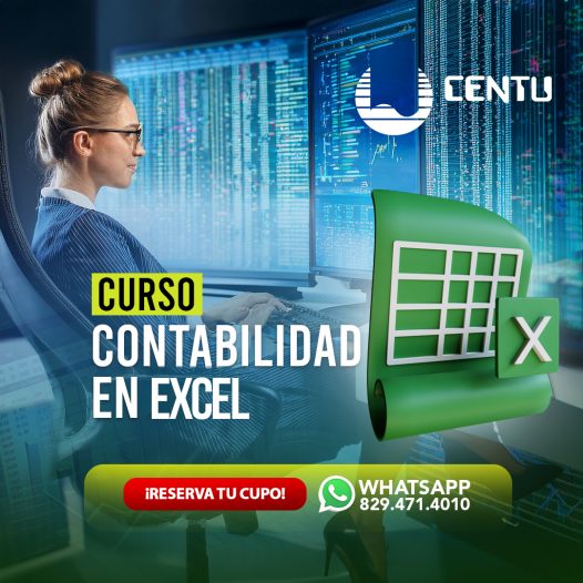 Técnico en Contabilidad en Excel