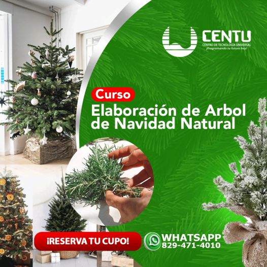 Elaboración de Árbol de Navidad natural