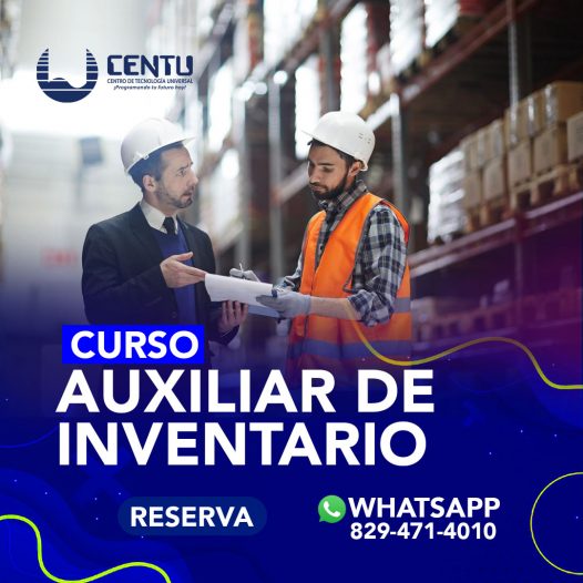 Curso Taller Auxiliar de Inventario