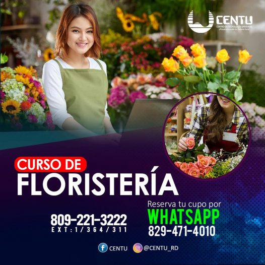Curso Taller de Floristería